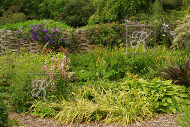 Fullers Mill piirded 5 piirded 5